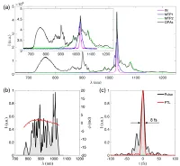 Progressi compiuti nello sviluppo del prototipo del sistema di amplificazione...